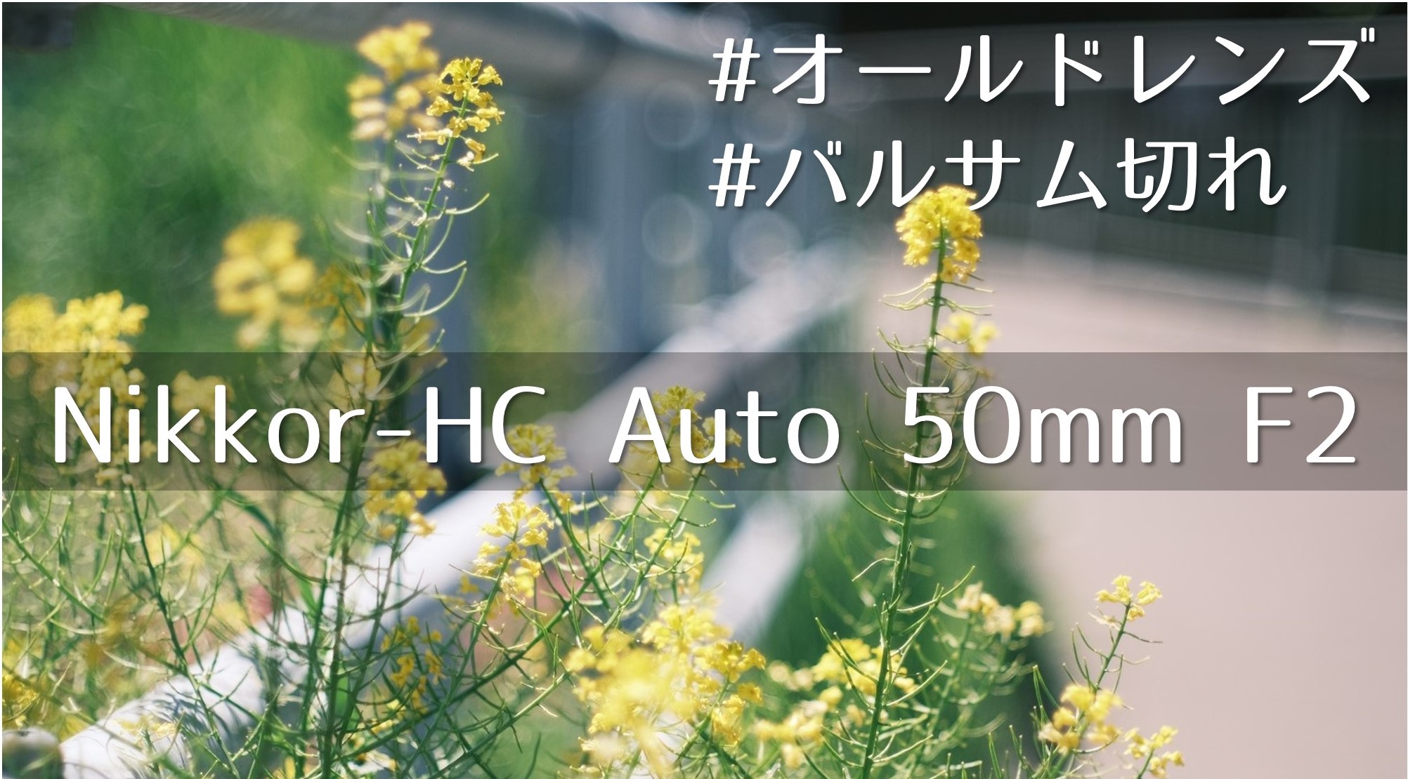 作例あり】Nikkor-HC Auto 50mm F2｜バルサム切れ !? レンズの玉ボケ ...